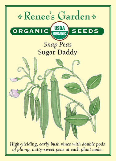 Organic Pea Sugar Daddy - Renee's Garden