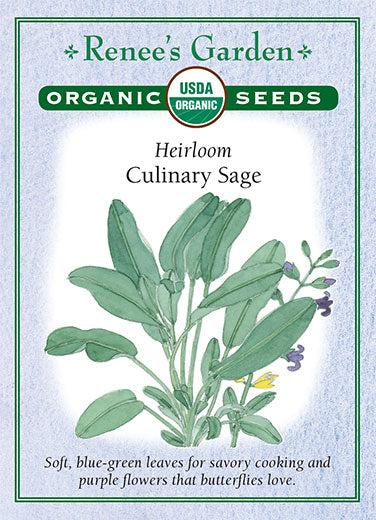 Organic Sage Culinary - Renee's Garden
