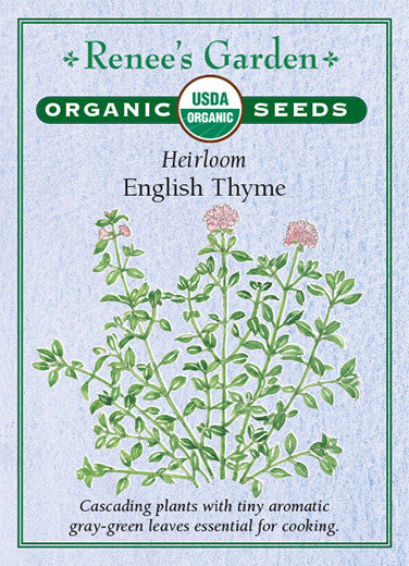 Organic Thyme English - Renee's Garden