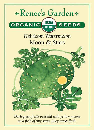 Organic Watermelon Moon & Stars - Renee's Garden