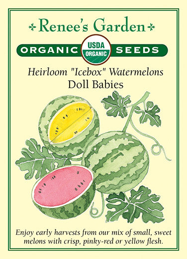 Organic Watermelon Doll Babies - Renee's Garden