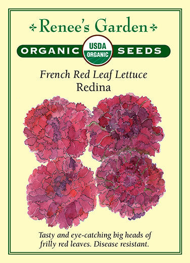 Organic Lettuce Redina - Renee's Garden