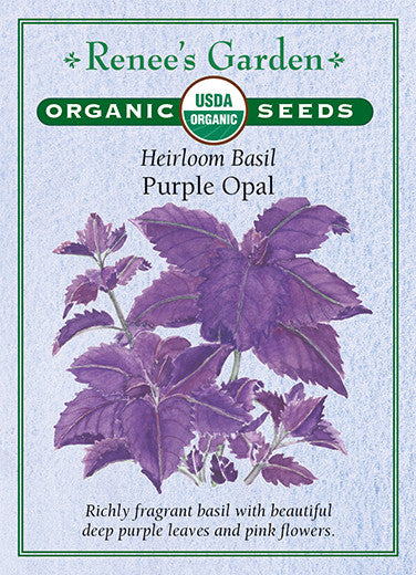 Organic Basil Purple Opal - Renee's Garden
