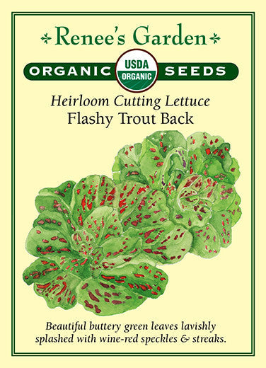 Organic Lettuce Flashy Trout Back - Renee's Garden