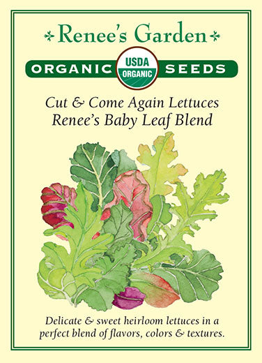 Organic Lettuce Renee's Baby Leaf Blend - Renee's Garden
