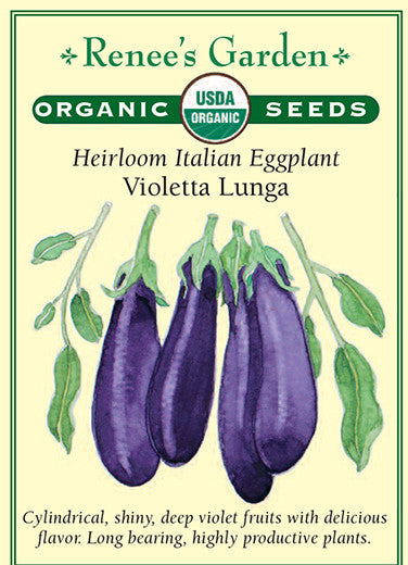 Organic Eggplant Violetta Lunga - Renee's Garden