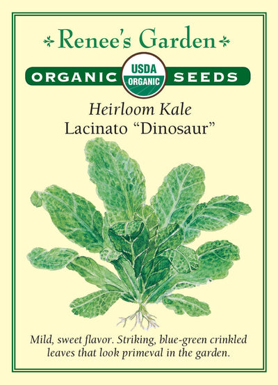 Organic Kale Lacinato "Dinosaur" - Renee's Garden