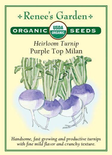 Organic Turnip Purple Top Milan - Renee's Garden