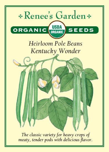Organic Bean Kentucky Wonder Pole - Renee's Garden