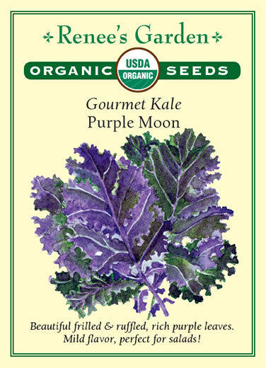 Organic Kale Purple Moon - Renee's Garden