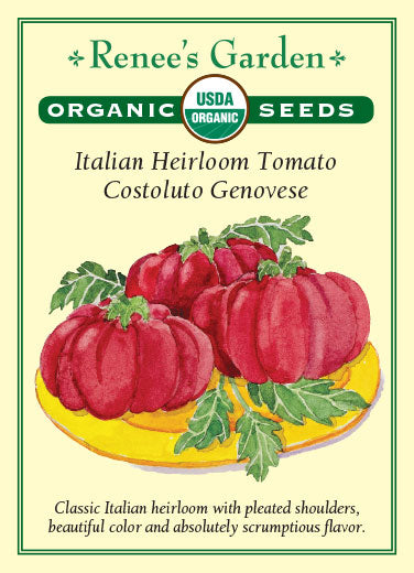 Organic Tomato Costoluto Genovese - Renee's Garden