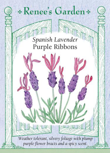Lavender Purple Ribbons - Renee's Garden