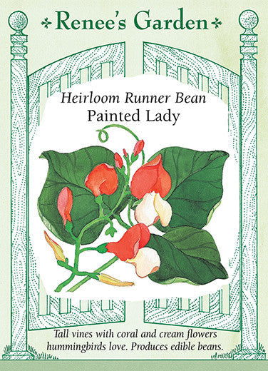 Bean Painted Lady Runner - Renee's Garden