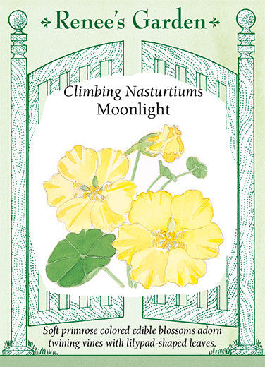 Nasturtium Moonlight - Renee's Garden
