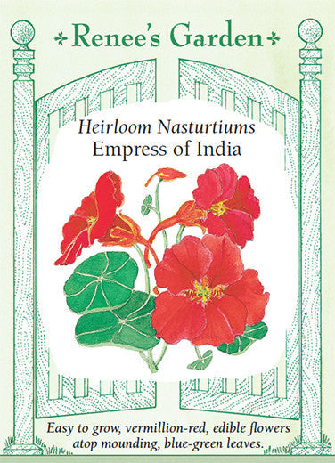 Nasturtium Empress of India - Renee's Garden