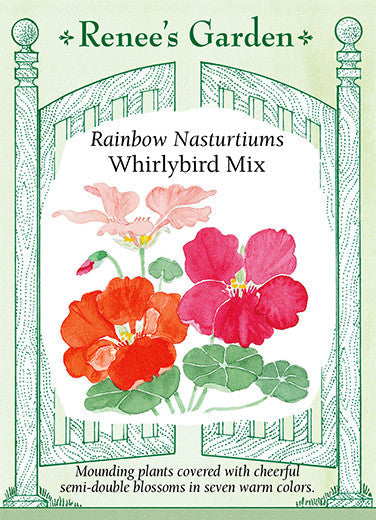 Nasturtium Whirlybird Mix - Renee's Garden
