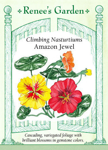 Nasturtiums Amazon Jewel - Renee's Garden