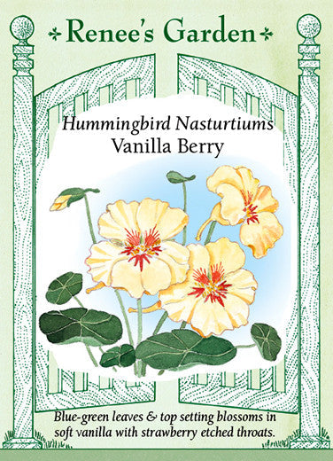 Nasturtium Vanilla Berry - Renee's Garden