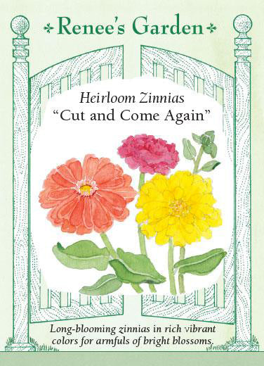 Zinnia Cut and Come Again - Renee's Garden