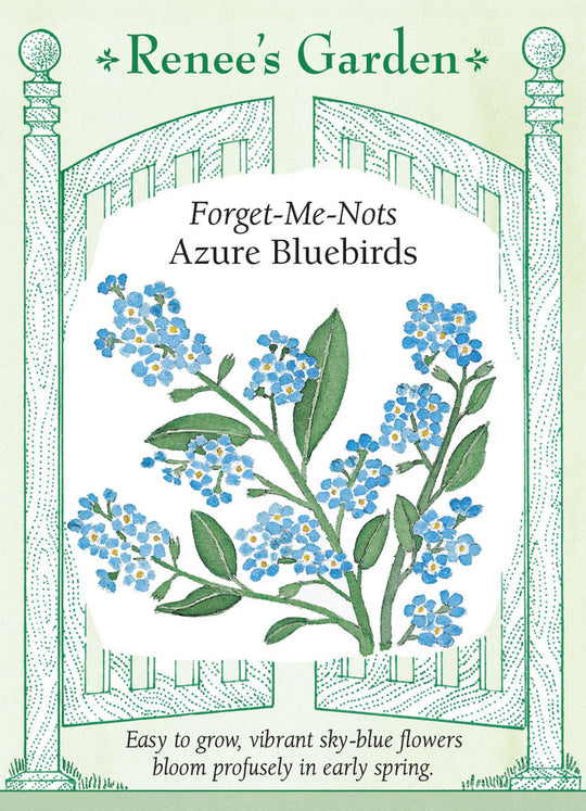 Forget-Me-Nots Azure Bluebirds - Renee's Garden