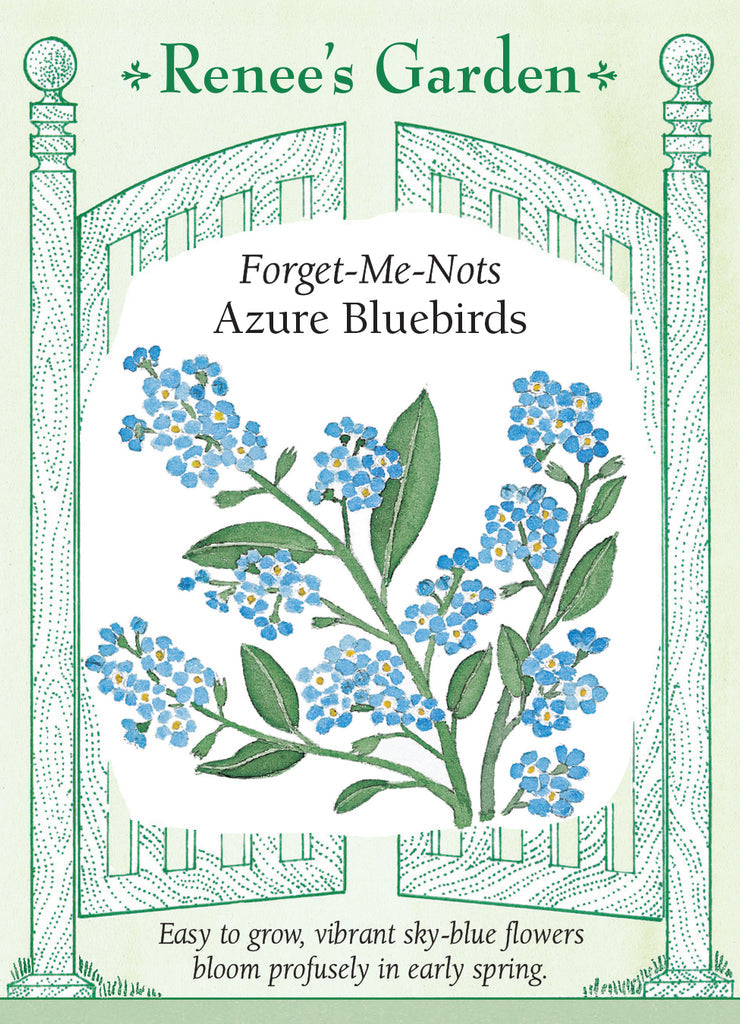 Forget-Me-Nots Azure Bluebirds - Renee's Garden