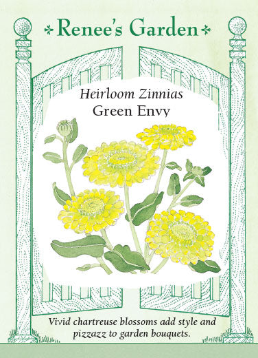 Zinnia Green Envy - Renee's Garden