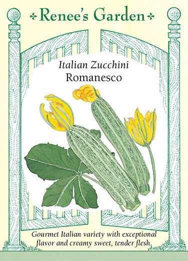 Zucchini Romanesco - Renee's Garden
