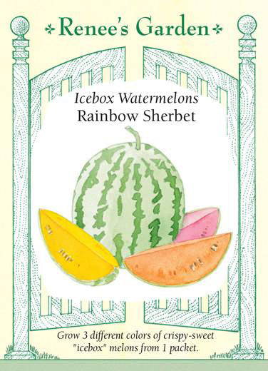 Watermelon Rainbow Sherbet - Renee's Garden