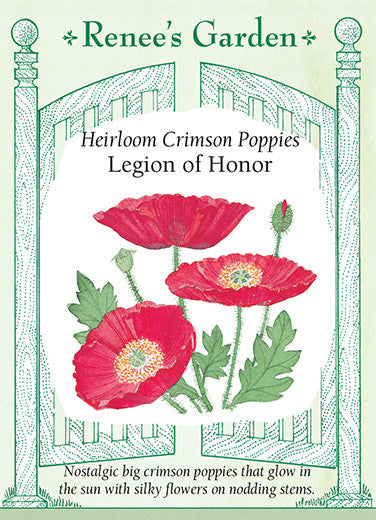 Poppy Legion of Honor - Renee's Garden