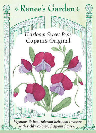 Sweet Pea Cupani's Original - Renee's Garden