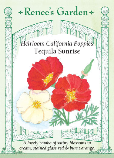 California Poppy Tequila Sunrise - Renee's Garden