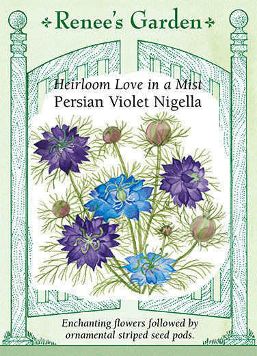 Nigella Persian Violet - Renee's Garden
