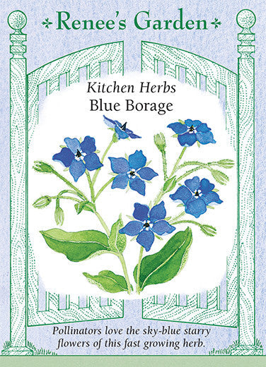 Borage Blue - Renee's Garden