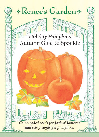 Pumpkins Autumn Gold & Spookie - Renee's Garden