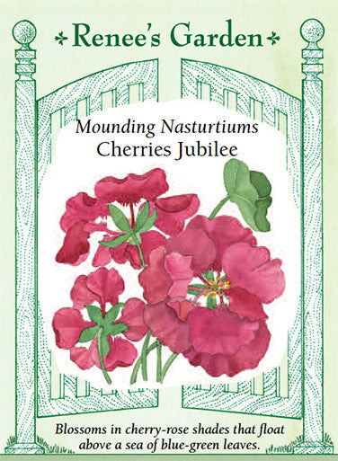 Nasturtium Cherries Jubilee - Renee's Garden