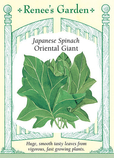 Spinach Oriental Giant - Renee's Garden