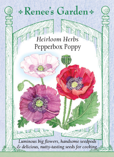 Poppy Pepperbox - Renee's Garden