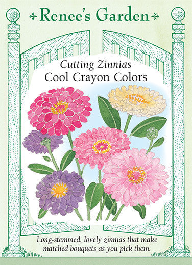 Zinnia Cool Crayon Colors - Renee's Garden