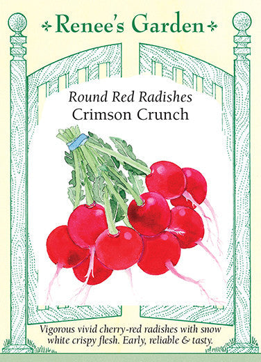 Radish Crimson Crunch - Renee's Garden