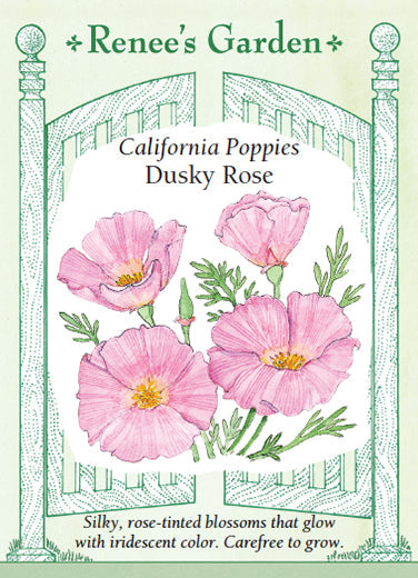California Poppy Dusky Rose - Renee's Garden