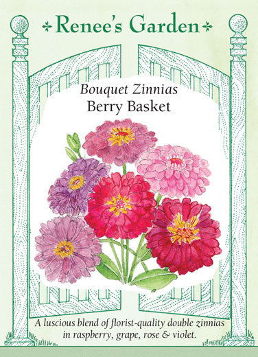 Zinnia Berry Basket - Renee's Garden