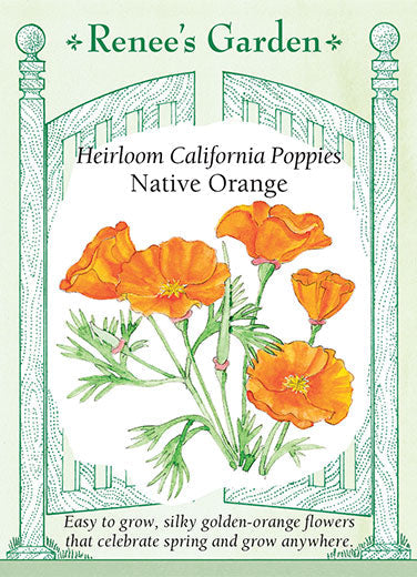 California Poppy Native Orange - Renee's Garden