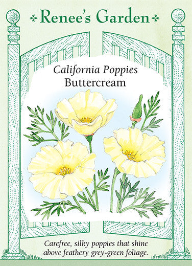 California Poppy Buttercream - Renee's Garden