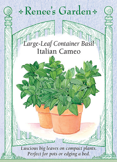 Basil Italian Cameo - Renee's Garden