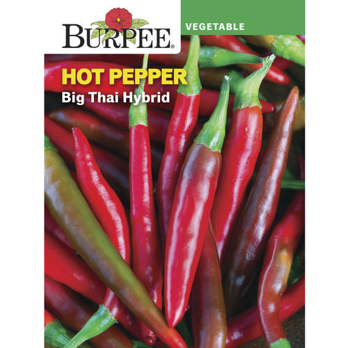 Pepper Big Thai Hybrid - Burpee Seeds