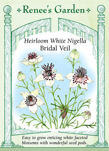 Nigella Bridal Veil - Renee's Garden
