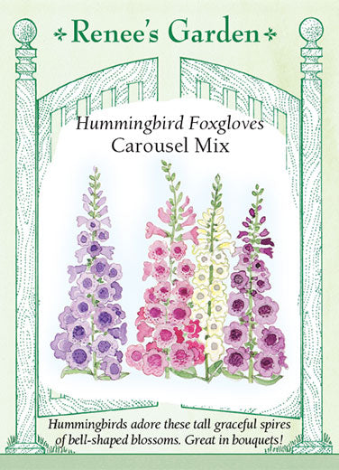 Foxglove Carousel Mix - Renee's Garden