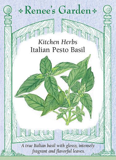Basil Italian Pesto - Renee's Garden