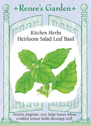 Basil Salad Leaf - Renee's Garden