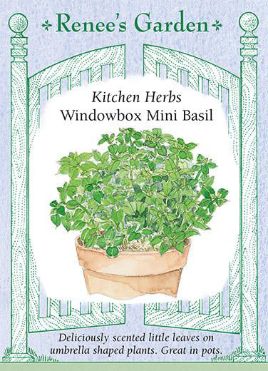 Basil Windowbox Mini - Renee's Garden